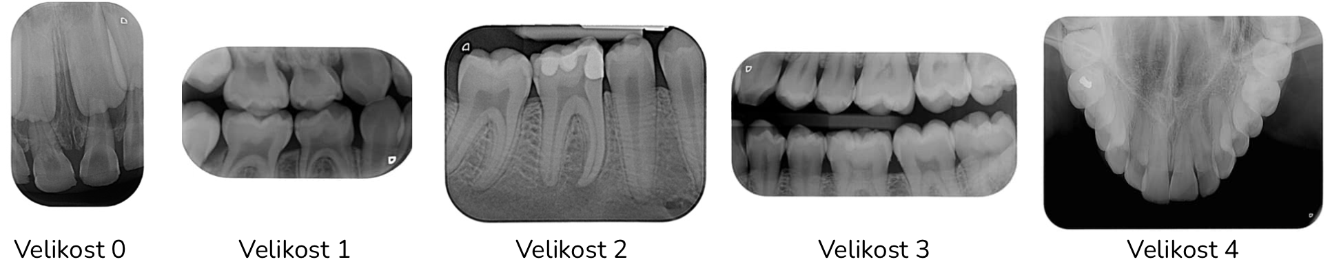Snímek obrazovky 2025-12-10 v 12.08.03